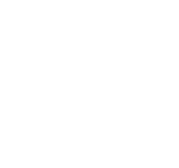 Puzzle completed icon